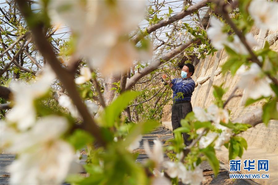 （聚焦疫情防控）（1）河北内丘：防疫、生产两不误