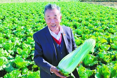 张金齐介绍包尖白菜特性.李洋摄