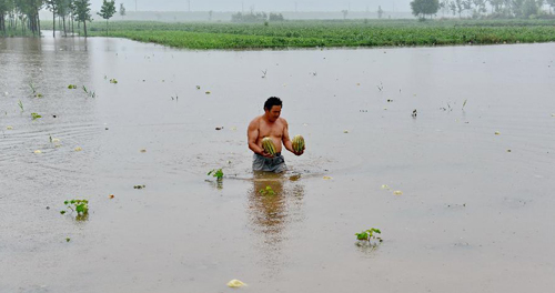 河北：持续强降雨致多地受灾