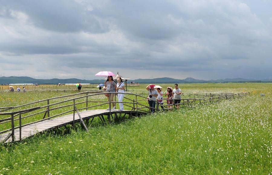 夏日坝上草原