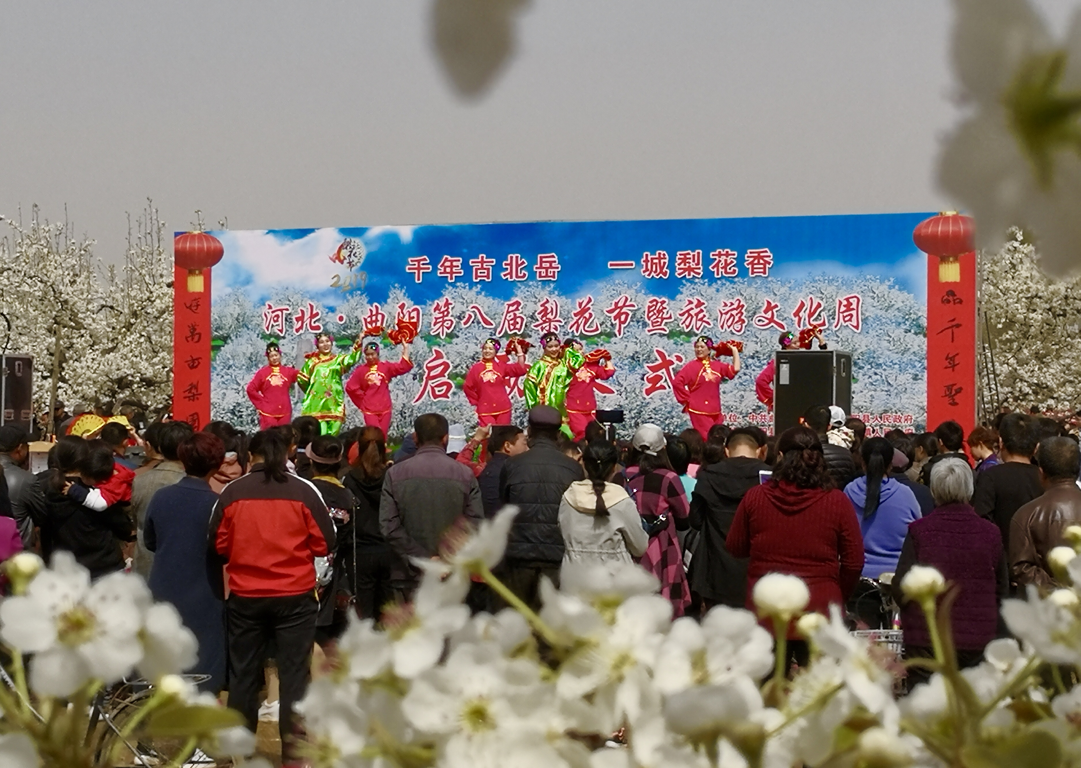 河北·曲阳第八届梨花节暨旅游文化周开幕