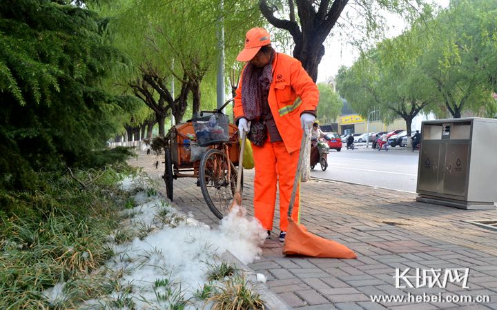 享受美丽春景 邢台“治絮”让城市既绿又美