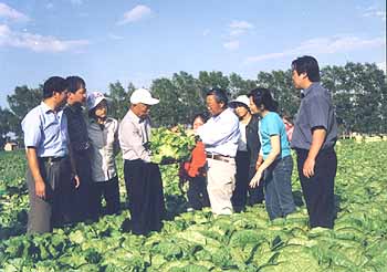 作为农业战线上的十六大党代表张立峰教授(右四)在张北试区指导